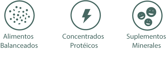 imagen con iconos y descripcion: Alimentos Balanceados, Contentrados Protéicos, Suplementos Minerales